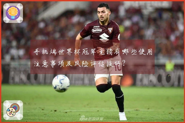 手机端世界杯冠军竞猜有哪些使用注意事项及风险评估技巧？