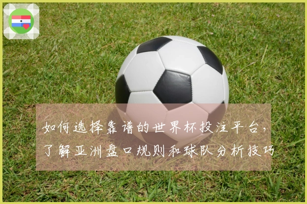 如何选择靠谱的世界杯投注平台，了解亚洲盘口规则和球队分析技巧