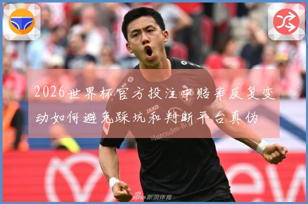 2026世界杯官方投注中赔率反复变动如何避免踩坑和判断平台真伪