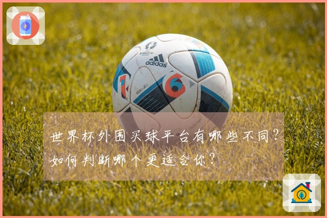 世界杯外围买球平台有哪些不同？如何判断哪个更适合你？